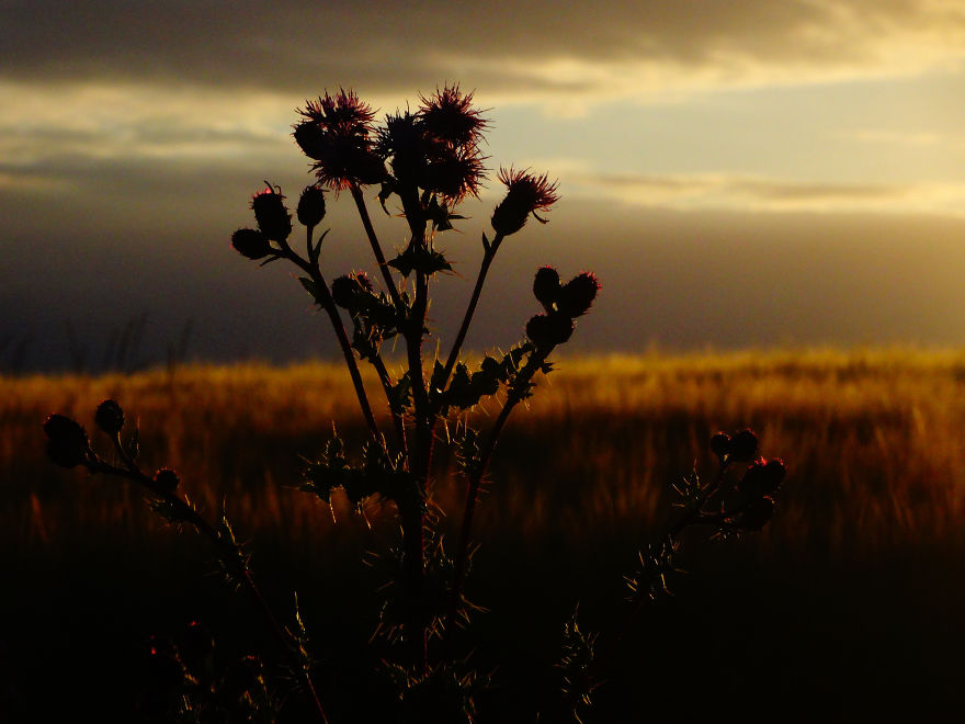 41 Picturesque European Towns And Villages I Have Seen Since I Began Traveling In August 2013 41 Picturesque European Towns And Villages I Have Seen Since I Began Traveling In August 2013