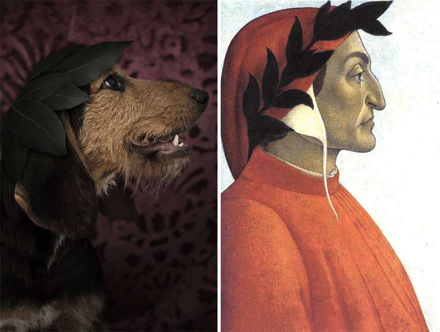 poetic-dogs-dan-bannino-10 poetic-dogs-dan-bannino-10