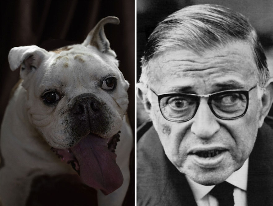 poetic-dogs-dan-bannino-11 poetic-dogs-dan-bannino-11