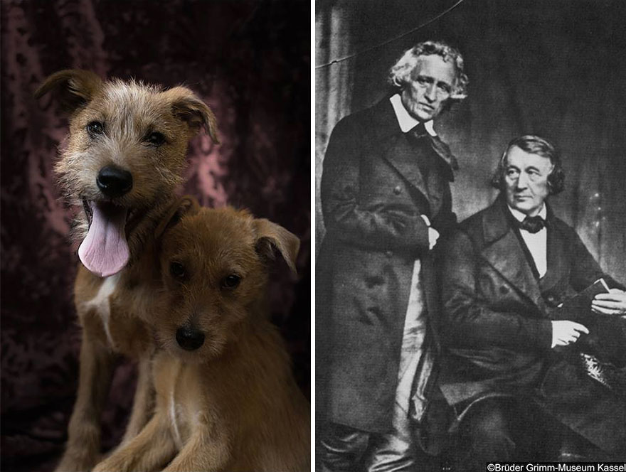 poetic-dogs-dan-bannino-6 poetic-dogs-dan-bannino-6