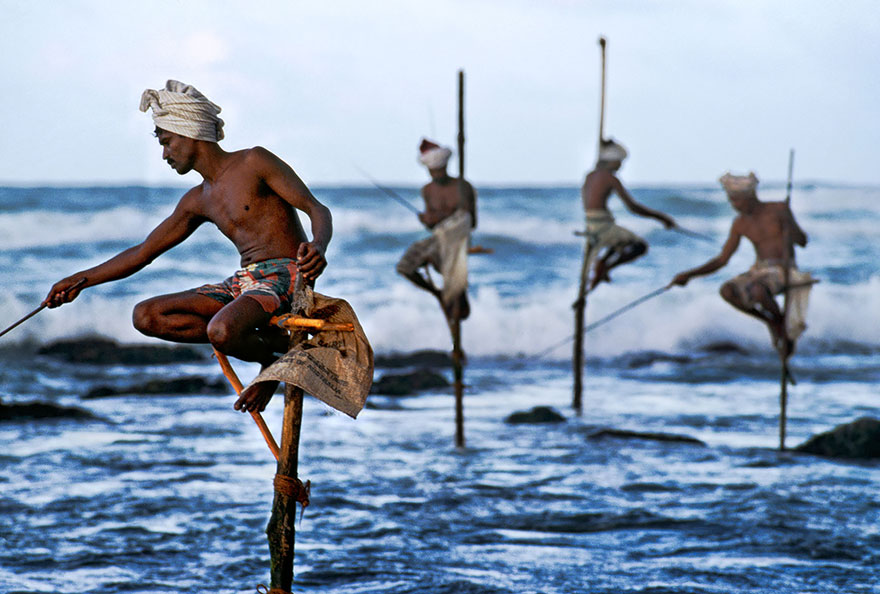 Stilt Fishermen
