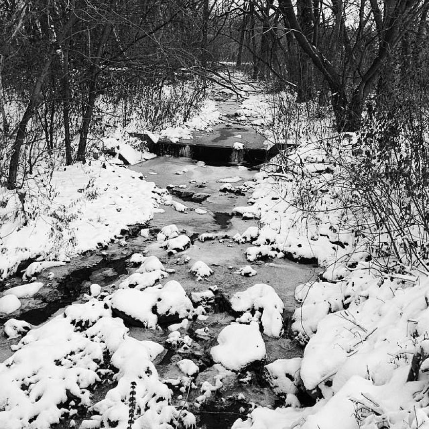 My First Sign Of Winter Beauty