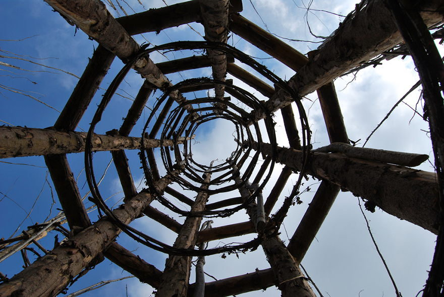 tree-cathedral-cattedrale-vegetale-giuliano-mauri-16 tree-cathedral-cattedrale-vegetale-giuliano-mauri-16