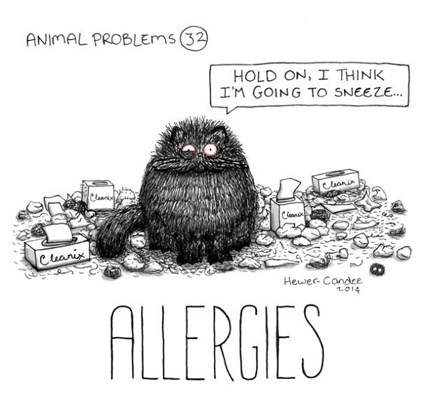 Artist Turns Animal Problems Into Cute Comics Artist Turns Animal Problems Into Cute Comics