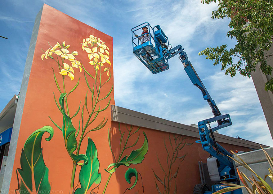 weeds-graffiti-street-art-mona-caron-11 weeds-graffiti-street-art-mona-caron-11