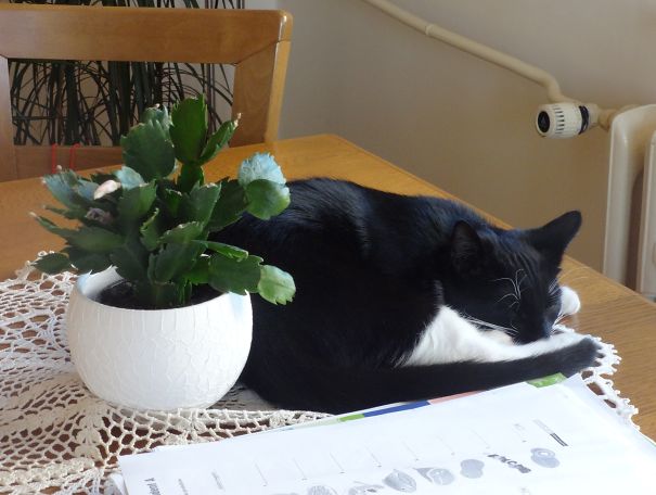 My Perfect Bed In Wild Nature :-)