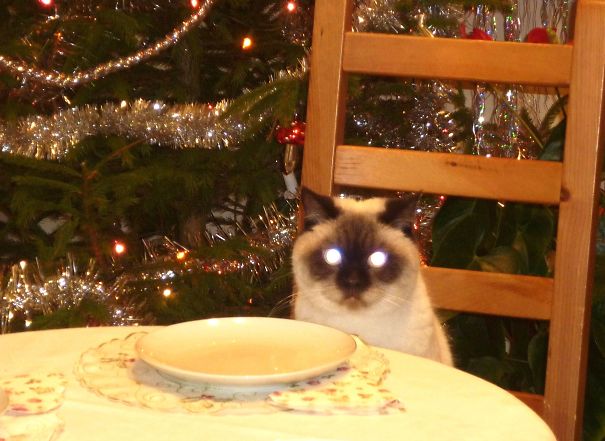 Nothing For Me ????????????????????????????