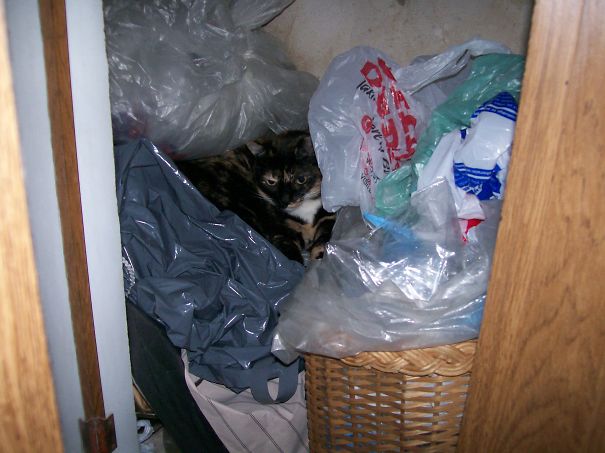 Shelter From Thunder!