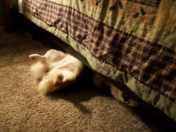 Daisy Mae ~ Half In/half Out...