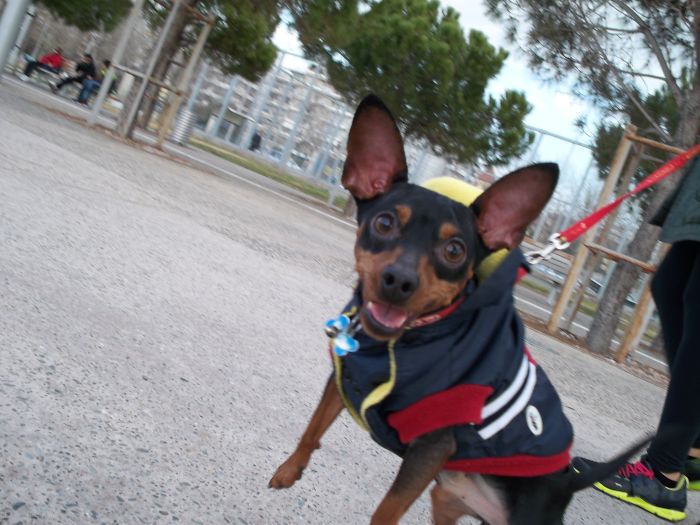 Sunday Walk By The Beach :-)