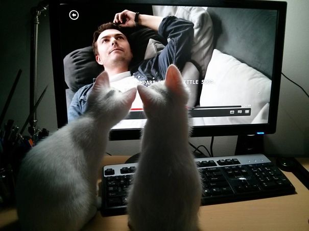 Don't Mind Us, We'll Just Sit Here.