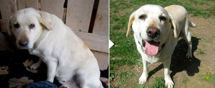 Masinka 14 Years (4 Years In New Home)