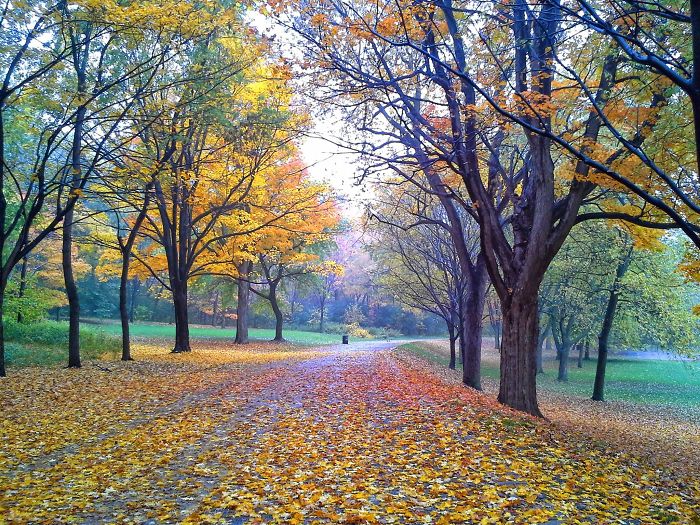 Montréal, Canada (by Criselle)