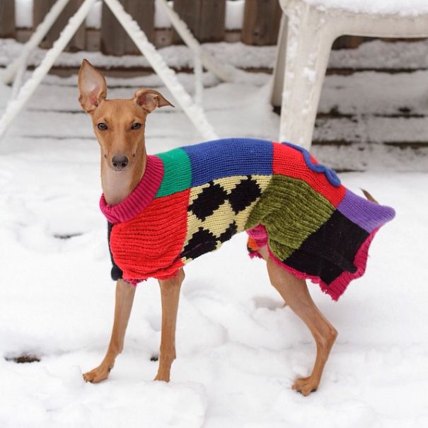 Fashion Advice From Iggy Joey Fashion Advice From Iggy Joey