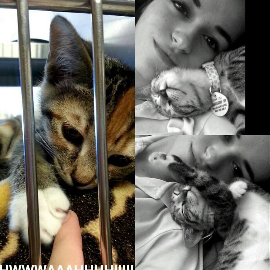 Misty Was Separated From Her Mom At An Early Age. Before: Left. After (with Me)!: Right