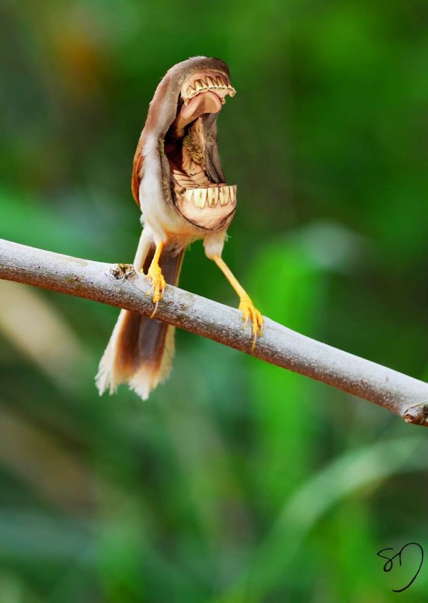 Big Mouth Birds: My Newest Series Of Hybrid Animals