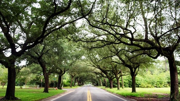 12th Avenue In Pensacola, Fl