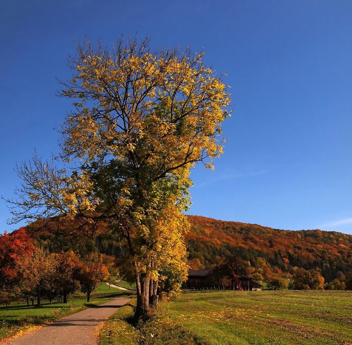 Schwaebische Alb, Germany