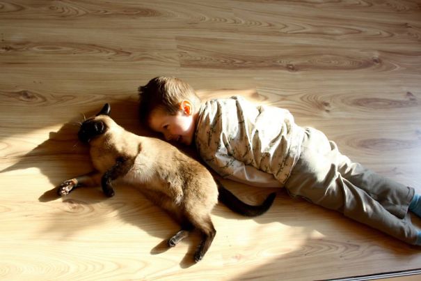 How To Pretend To Be A Cat