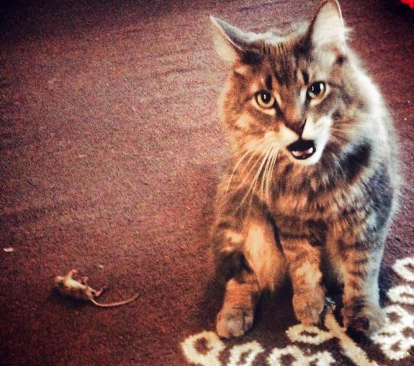 I Know Its Late, But Happy Birthday.