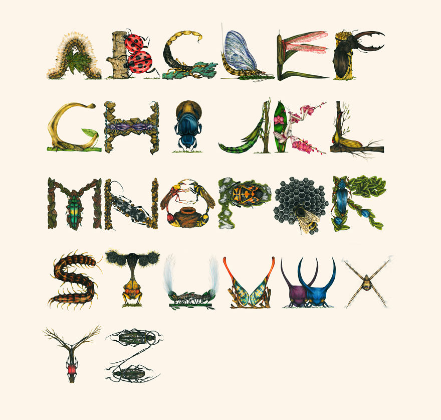 This Insect Alphabet Took Me 2 Years To Complete