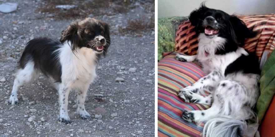 Tree In The Streets & Tree Now Enjoying Her Mamas Couch :p