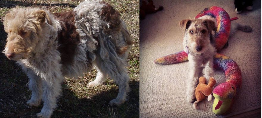 Me Beloved Zoya - Adopt! Change A Life!