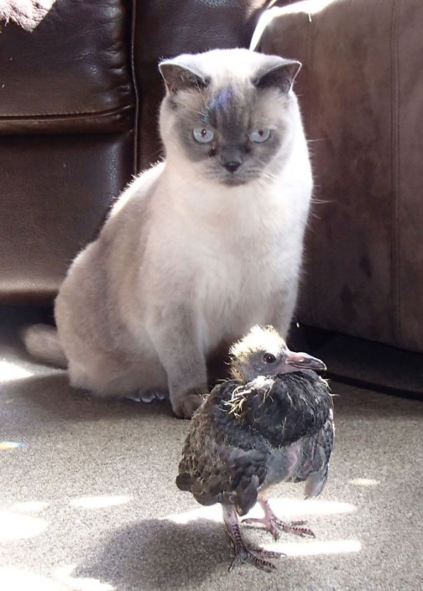 I'm Not Eating That - It Look Weired