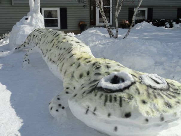 "lizzy The Gecko" And "silly Wabbit"