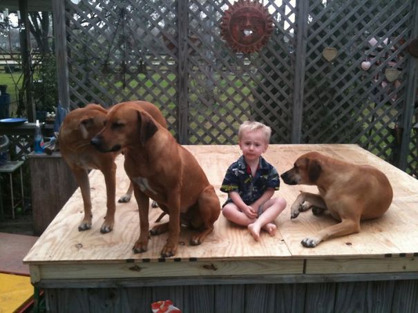 Just One Of The Pups