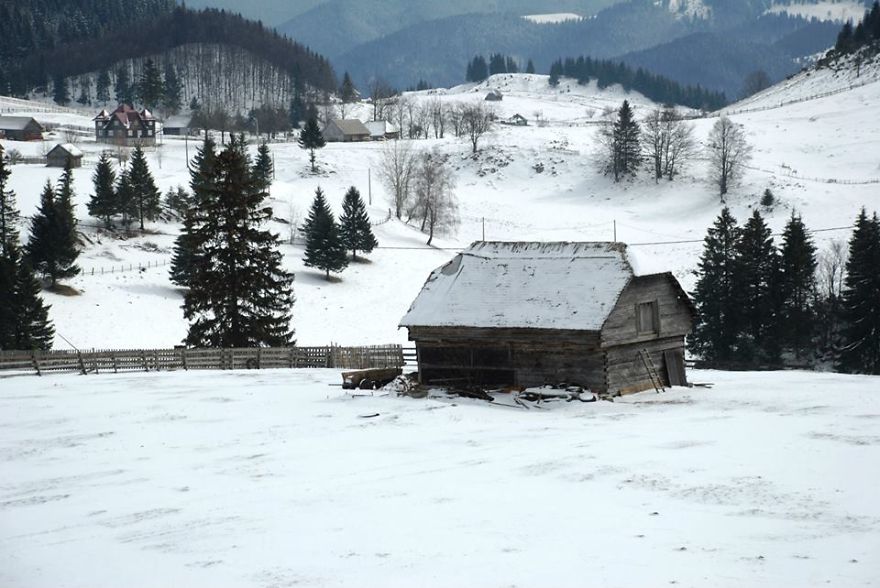 The Shelter. România
