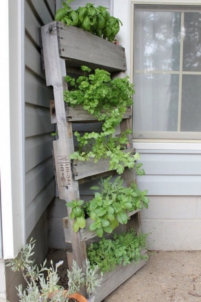 Vertical Garden