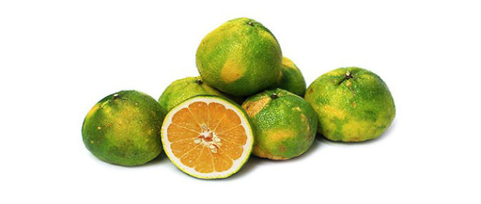 Ugli Fruit