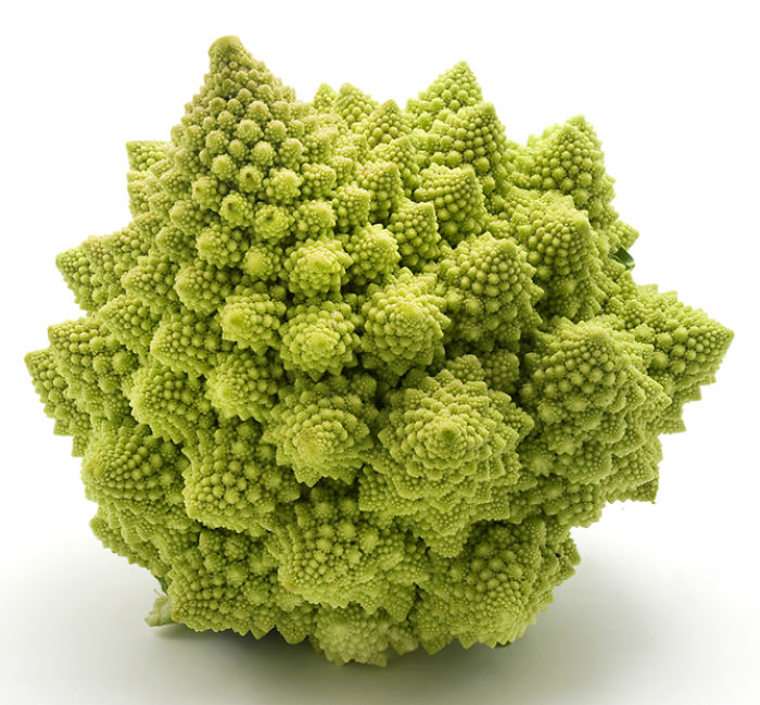 Romanesco Broccoli
