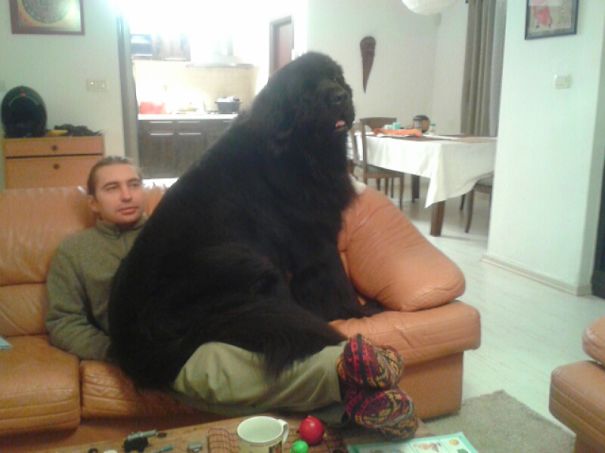 On The Lap Of Daddy.