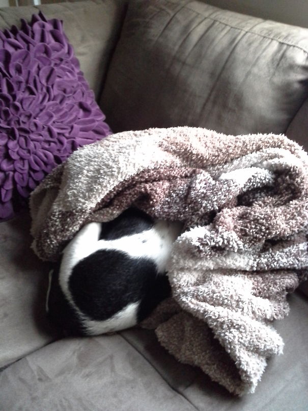 Salsa, Where Are You?