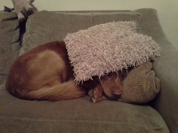 Please Don't Put Me To Bed In The Kitchen