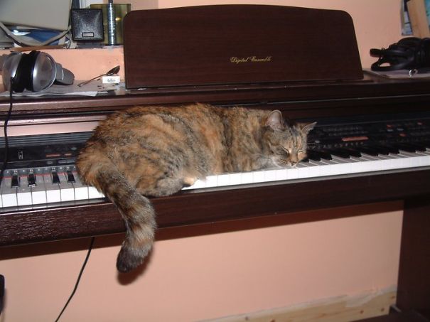 Its Time You Went To Bed Human