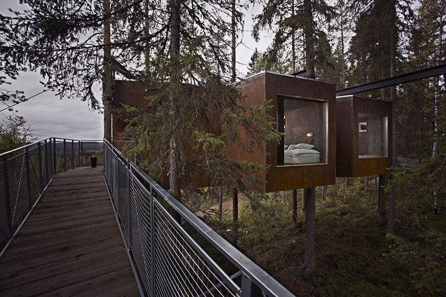 The Dragonfly (treehotels), Harads, Sweden