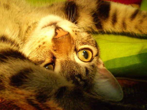 On The Bed, Like A Boss!