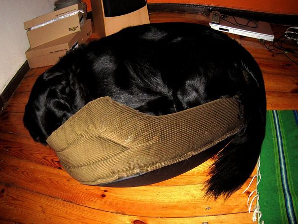 Good Night - Sleep Tight