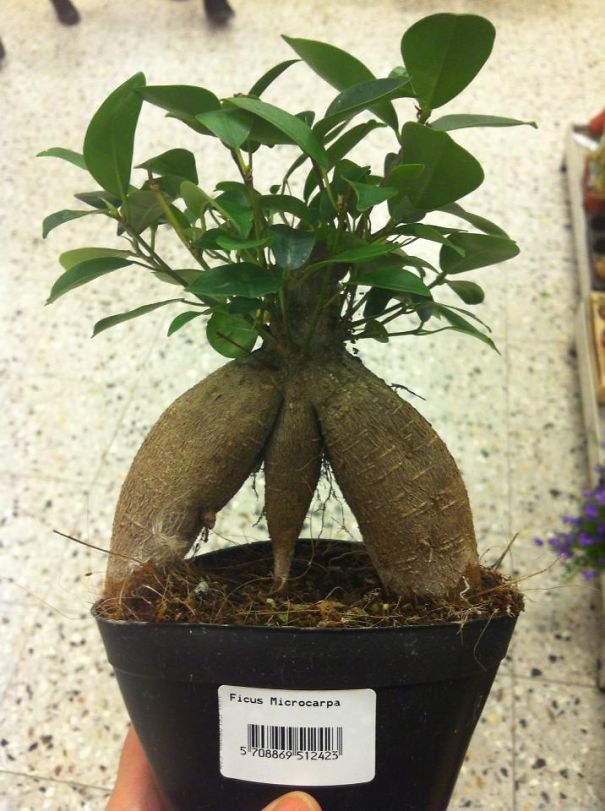 Haha What Do You Think? ^^