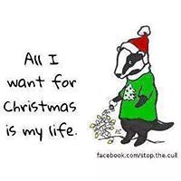 susan_pankhurst avatar