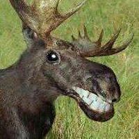 jane_holland_357 avatar