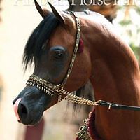 54a6fdaa27905 avatar