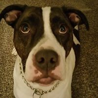 AlexJayBerman avatar