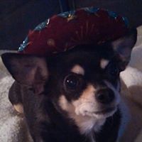 pam_decker_35 avatar