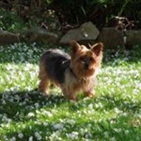 mamamia_thomas avatar