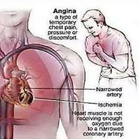 wilma_struckman_5 avatar