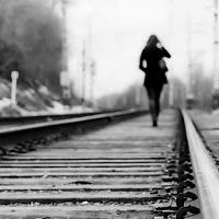 sandraanderson avatar